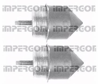 Impergom 50243 Osłony amortyzatora zawieszenia, zestaw 2 szt 50243: Dobra cena w Polsce na 2407.PL - Kup Teraz!