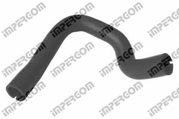 Impergom 19160 Breather Hose for crankcase 19160: Buy near me in Poland at 2407.PL - Good price!