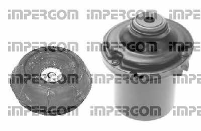 Impergom 31446 Strut bearing with bearing kit 31446: Buy near me in Poland at 2407.PL - Good price!
