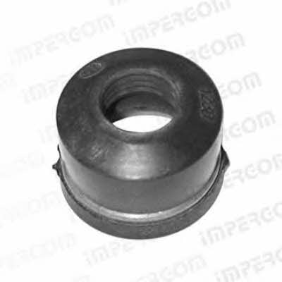 Impergom 30123 Seal, valve stem 30123: Buy near me in Poland at 2407.PL - Good price!