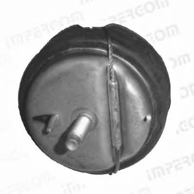 Impergom 32568 Engine mount, front 32568: Buy near me in Poland at 2407.PL - Good price!