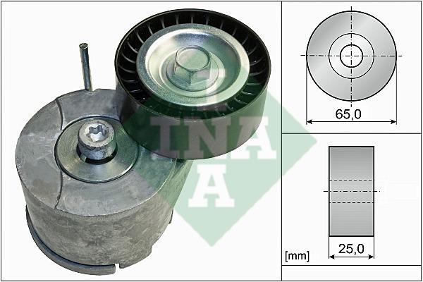 INA 534 0455 10 Belt tightener 534045510: Buy near me at 2407.PL in Poland at an Affordable price!