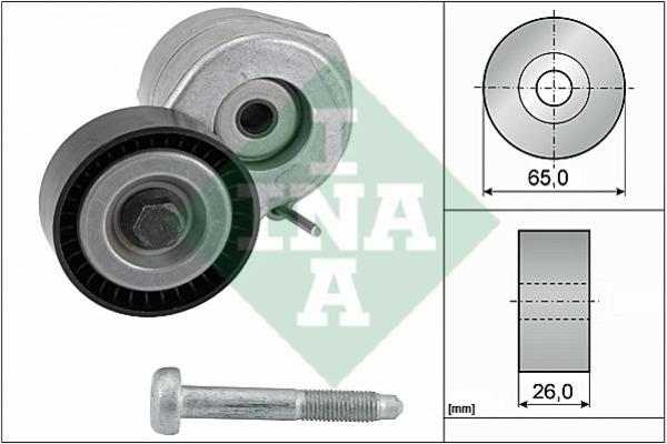 INA 534 0607 10 Belt tightener 534060710: Buy near me at 2407.PL in Poland at an Affordable price!
