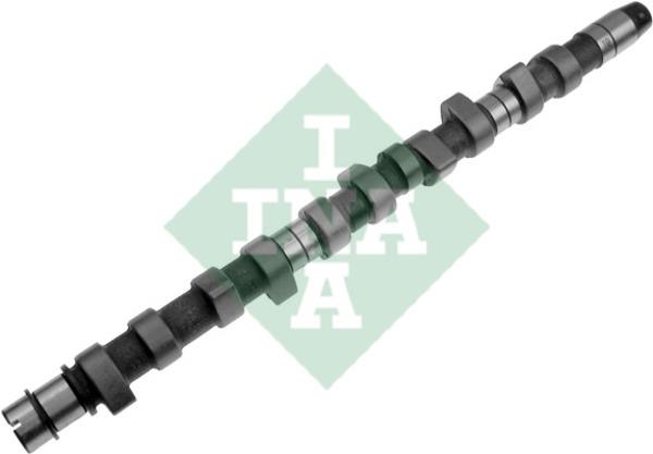 INA 428 0066 10 Camshaft 428006610: Buy near me at 2407.PL in Poland at an Affordable price!