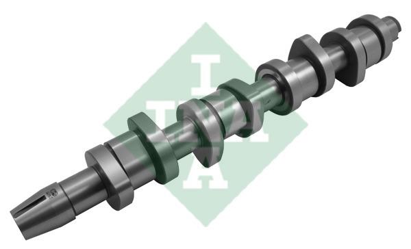 INA 428 0159 10 Camshaft 428015910: Buy near me in Poland at 2407.PL - Good price!