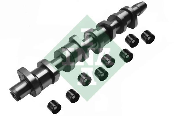 INA 428 0039 30 Camshaft set 428003930: Buy near me in Poland at 2407.PL - Good price!