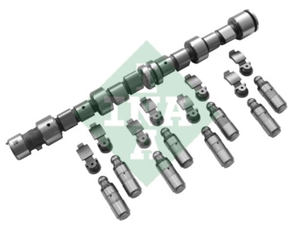 INA 428 0041 30 Camshaft set 428004130: Buy near me in Poland at 2407.PL - Good price!