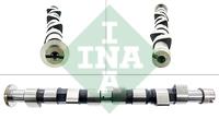 INA 428 0149 10 Camshaft 428014910: Buy near me in Poland at 2407.PL - Good price!