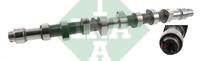 INA 428 0085 10 Camshaft 428008510: Buy near me in Poland at 2407.PL - Good price!