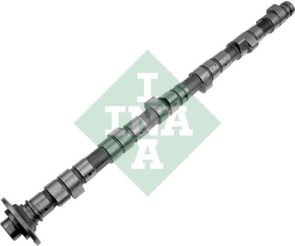 INA 428 0019 10 Camshaft 428001910: Buy near me in Poland at 2407.PL - Good price!