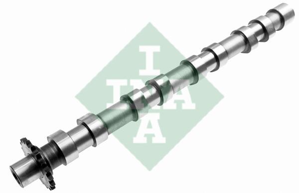 INA 428 0160 10 Camshaft 428016010: Buy near me in Poland at 2407.PL - Good price!