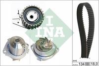 INA 530 0221 30 TIMING BELT KIT WITH WATER PUMP 530022130: Buy near me in Poland at 2407.PL - Good price!