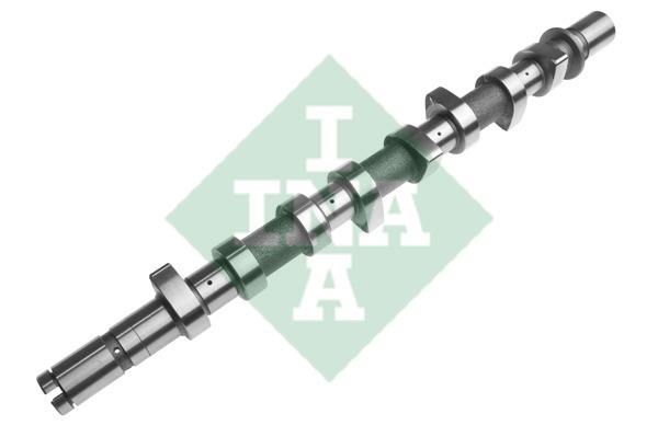 INA 428 0163 10 Camshaft 428016310: Buy near me in Poland at 2407.PL - Good price!
