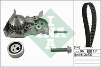  530 0191 30 TIMING BELT KIT WITH WATER PUMP 530019130: Buy near me in Poland at 2407.PL - Good price!