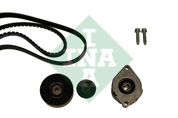 INA 530 0398 10 Drive belt kit 530039810: Buy near me in Poland at 2407.PL - Good price!