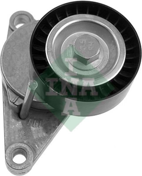 INA 534 0250 10 Belt tightener 534025010: Buy near me at 2407.PL in Poland at an Affordable price!