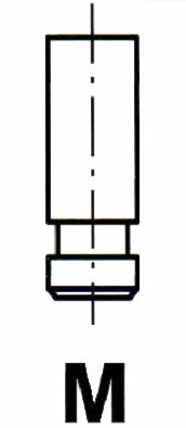 Ipsa VL103100 Exhaust valve VL103100: Buy near me in Poland at 2407.PL - Good price!