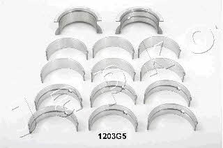 Japko 61203G5 Crankshaft bushings 61203G5: Buy near me in Poland at 2407.PL - Good price!