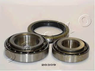 Japko 420309 Wheel bearing kit 420309: Buy near me in Poland at 2407.PL - Good price!