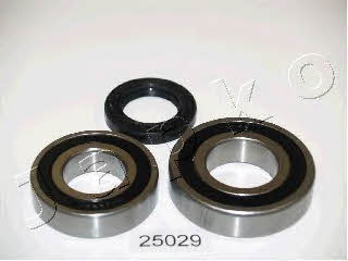 Japko 425029 Wheel bearing kit 425029: Buy near me at 2407.PL in Poland at an Affordable price!