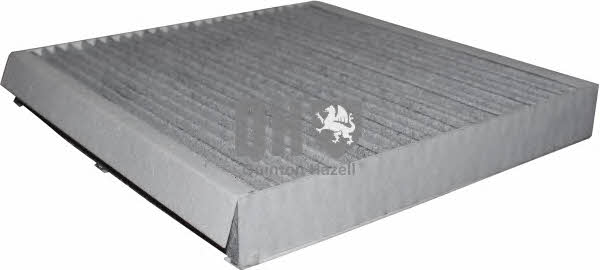 Jp Group 1428102209 Activated Carbon Cabin Filter 1428102209: Buy near me in Poland at 2407.PL - Good price!