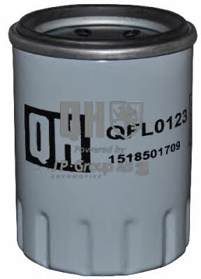 Jp Group 1518501709 Oil Filter 1518501709: Buy near me in Poland at 2407.PL - Good price!