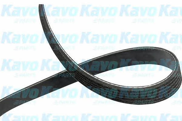 Купити Kavo parts DMV-5549 за низькою ціною в Польщі!