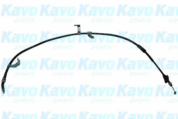 Buy Kavo parts BHC-3131 at a low price in Poland!