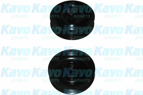 Kup Kavo parts DIP-3009 w niskiej cenie w Polsce!