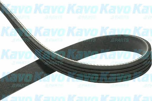 Kup Kavo parts DMV-1031 w niskiej cenie w Polsce!