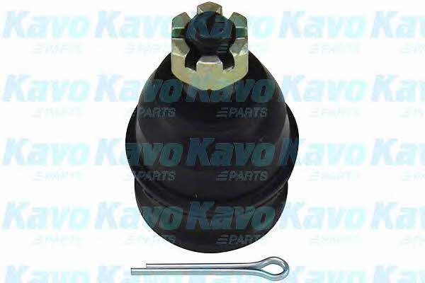 Kup Kavo parts SBJ-3007 w niskiej cenie w Polsce!