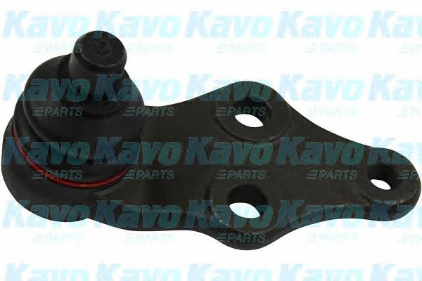 Купить Kavo parts SBJ-3034 по низкой цене в Польше!