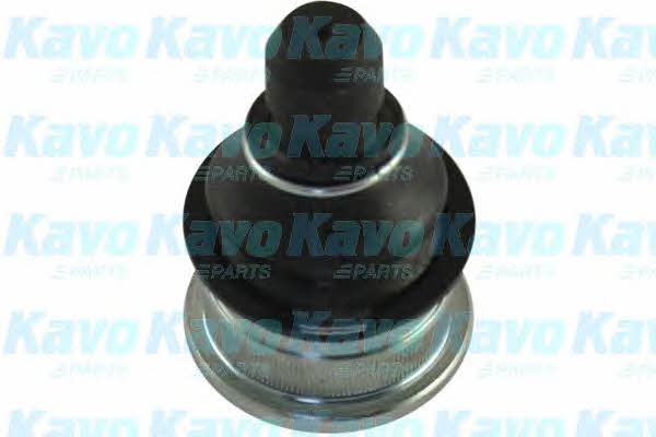 Buy Kavo parts SBJ-4017 at a low price in Poland!