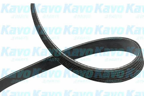 Kup Kavo parts DMV-4517 w niskiej cenie w Polsce!