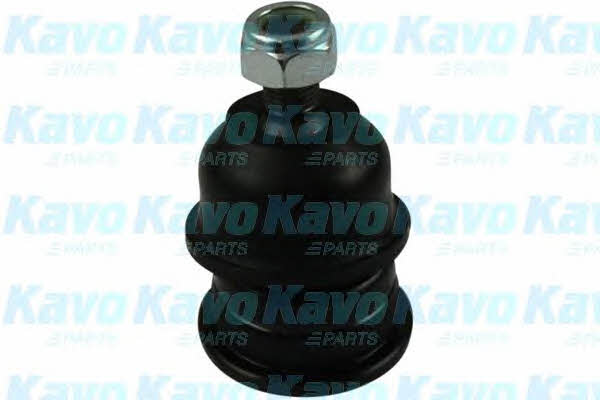 Купить Kavo parts SBJ-5501 по низкой цене в Польше!