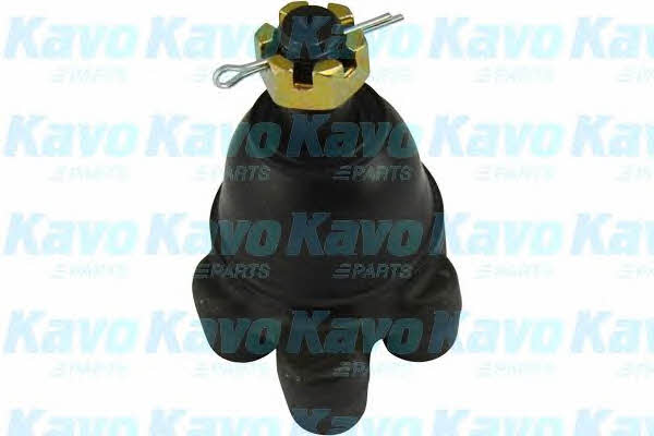 Купити Kavo parts SBJ-5503 за низькою ціною в Польщі!
