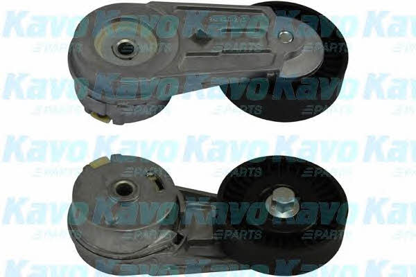 Kup Kavo parts DTP-1008 w niskiej cenie w Polsce!