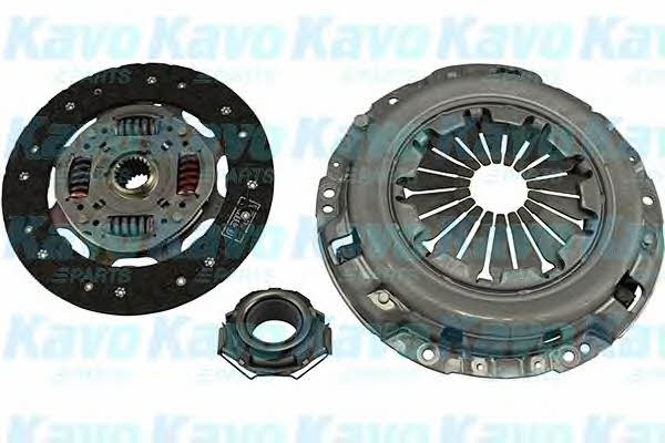 Kup Kavo parts CP-1175 w niskiej cenie w Polsce!