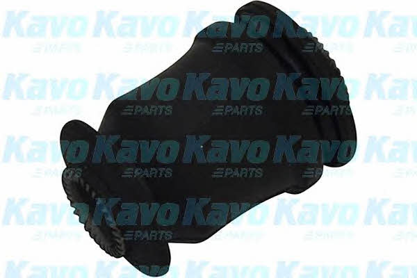 Kup Kavo parts SCR-6530 w niskiej cenie w Polsce!