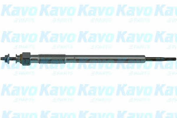 Kup Kavo parts IGP-5509 w niskiej cenie w Polsce!