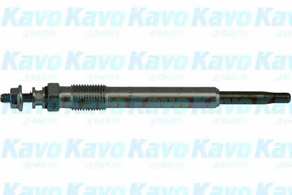 Buy Kavo parts IGP-8504 at a low price in Poland!