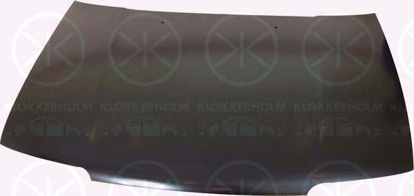 Klokkerholm 1666280 Motorhaube 1666280: Kaufen Sie zu einem guten Preis in Polen bei 2407.PL!