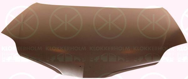 Klokkerholm 1670280 Motorhaube 1670280: Bestellen Sie in Polen zu einem guten Preis bei 2407.PL!