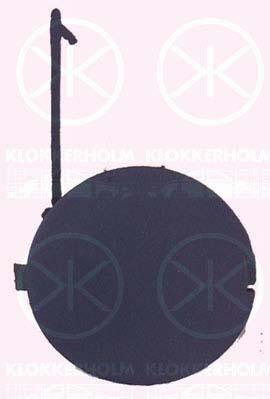 Klokkerholm 2024915 Plug towing hook 2024915: Buy near me in Poland at 2407.PL - Good price!