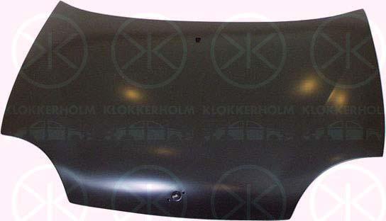 Klokkerholm 2031280 Капот 2031280: Отличная цена - Купить в Польше на 2407.PL!
