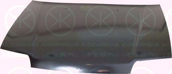 Klokkerholm 2909280 Motorhaube 2909280: Kaufen Sie zu einem guten Preis in Polen bei 2407.PL!
