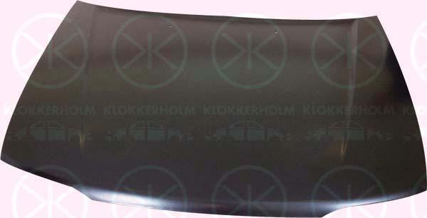 Klokkerholm 2921280A1 Капот 2921280A1: Отличная цена - Купить в Польше на 2407.PL!