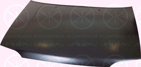 Klokkerholm 2530280 Hood 2530280: Buy near me in Poland at 2407.PL - Good price!