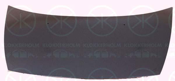 Klokkerholm 0519280 Motorhaube 0519280: Kaufen Sie zu einem guten Preis in Polen bei 2407.PL!