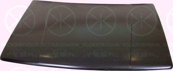 Klokkerholm 2015280 Motorhaube 2015280: Kaufen Sie zu einem guten Preis in Polen bei 2407.PL!